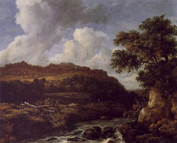 Jacob van Ruisdael The Great Forest China oil painting art